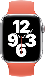Apple Watch SE (1st generation)