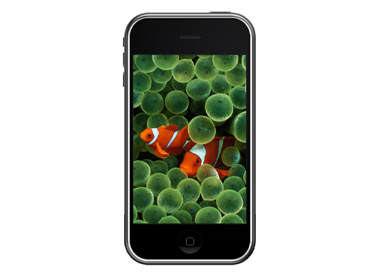 iPhone (1st generation)