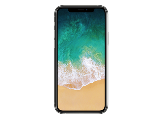 iPhone X