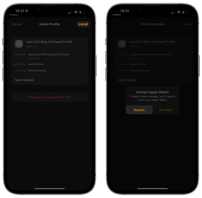 watchos 9 beta profile install